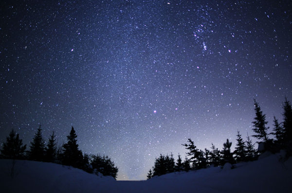 Il cielo di Novembre 2025 Associazione LOfficina, cielo d'autunno, cielo novembre, Civico Planetario Ulrico Hoepli, comete, costellazioni del mese, Davide Cenedalli, news LOfficina, Pianeti, sistema solare, Stelle