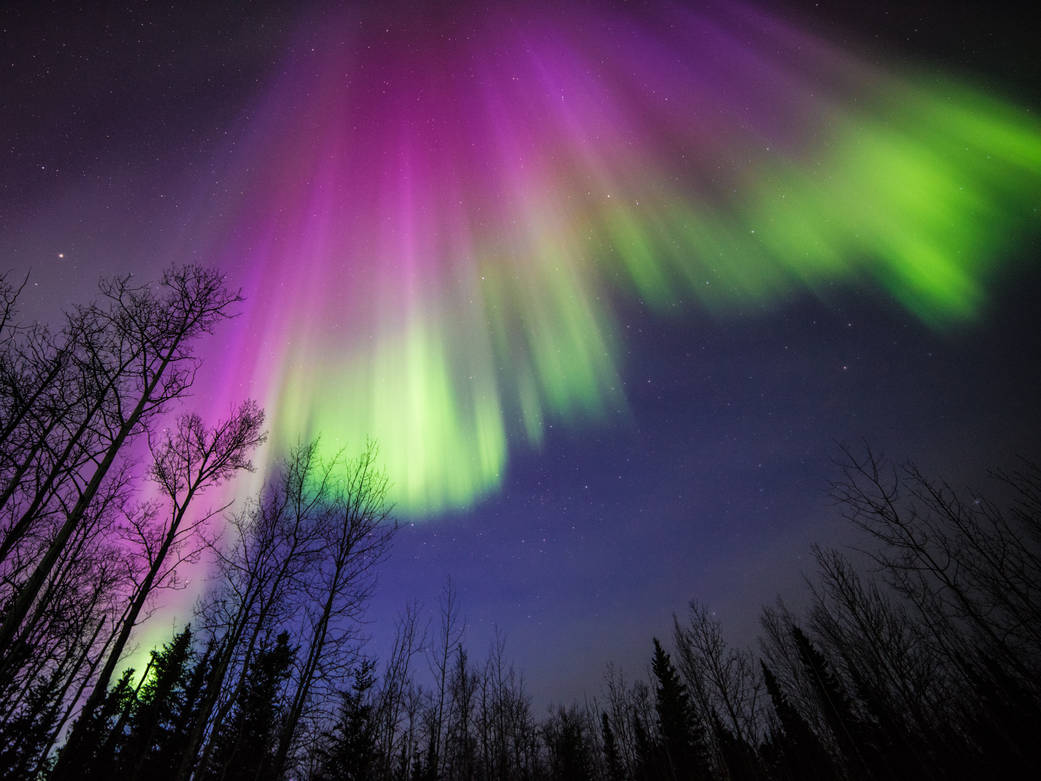 Veli di luce colorata: il fenomeno delle aurore polari Associazione LOfficina, aurora australe, aurora boreale, aurore polari, campo magnetico, Lapponia, news LOfficina