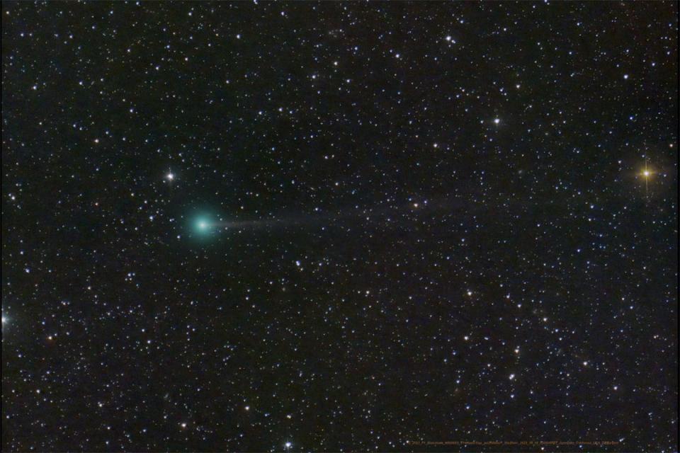 La cometa Nishimura è ormai prossima al perielio Associazione LOfficina, astronomia, cielo, Civico Planetario Ulrico Hoepli, comete, news LOfficina, Nishimura, nube Oort, osservazione del cielo, perielio, sistema solare