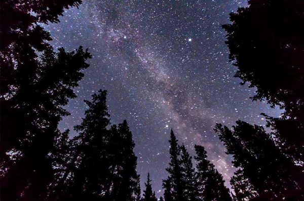 UNA NOTTE SOTTO LE STELLE Osservazioni guidate