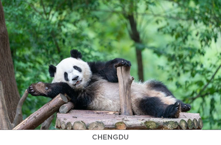 TIBET. IL TETTO DEL MONDO