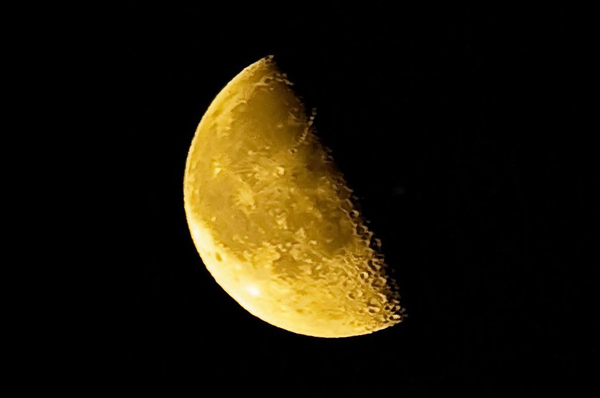 Eventi Civico Planetario Notte Di Luna Calante