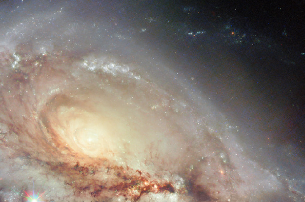 stelle nebulose buchi neri